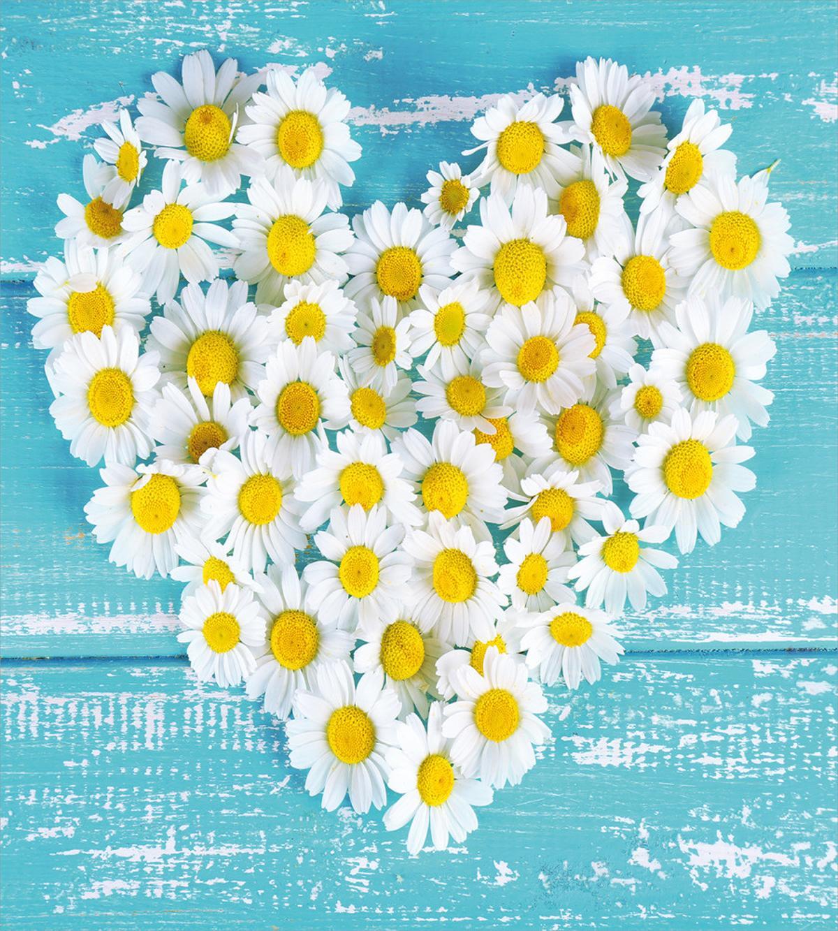 Heart Shaped Daisy — Pattern