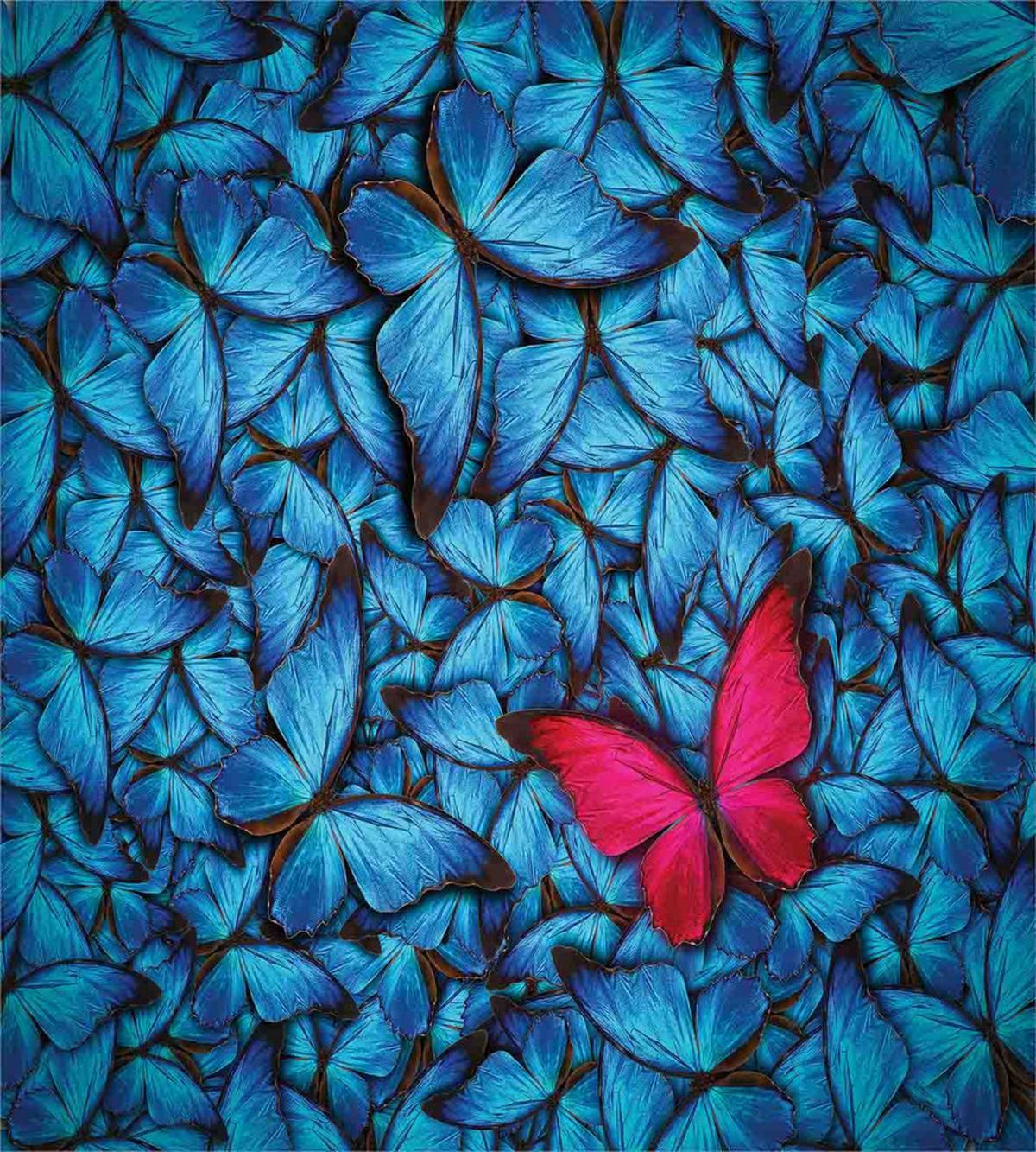 Large Bugs Lepidoptera — Pattern