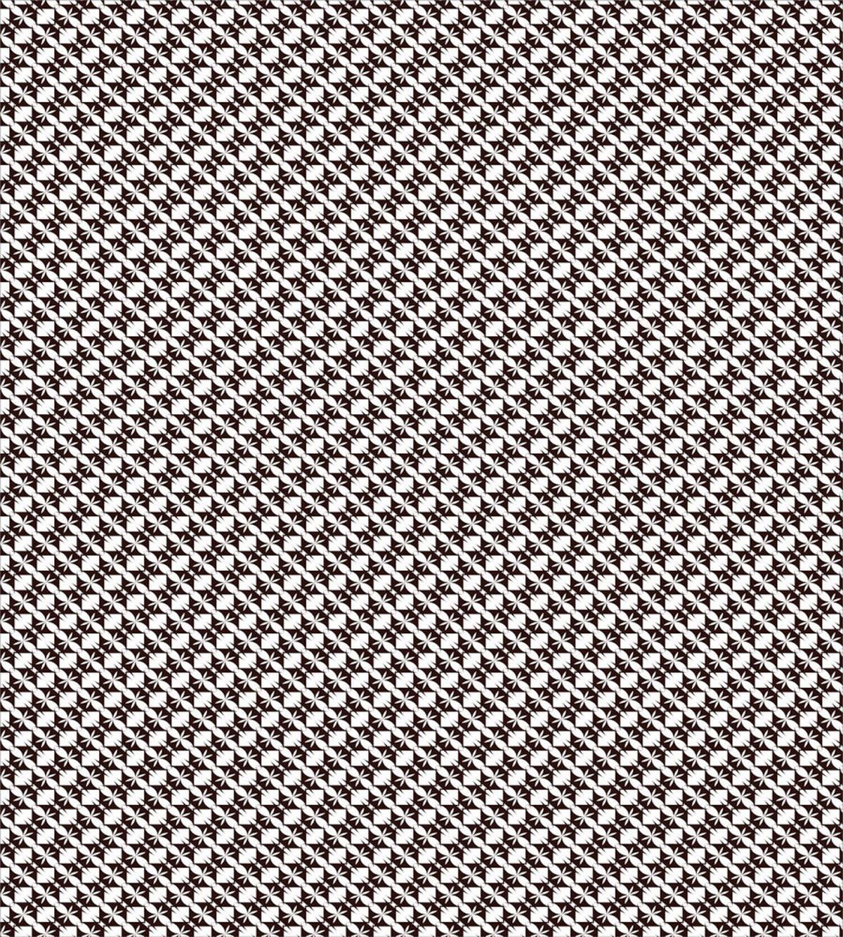 Monochrome Floral Hexagons — Pattern