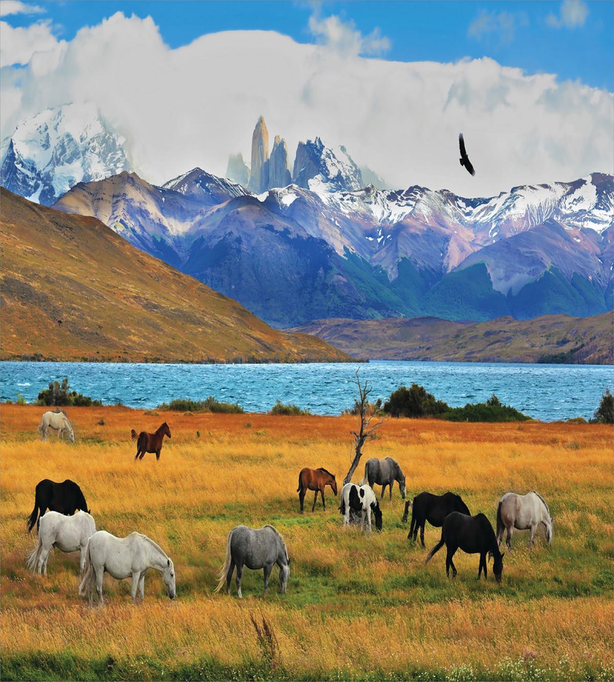 Farm Horse in Mountain — Pattern