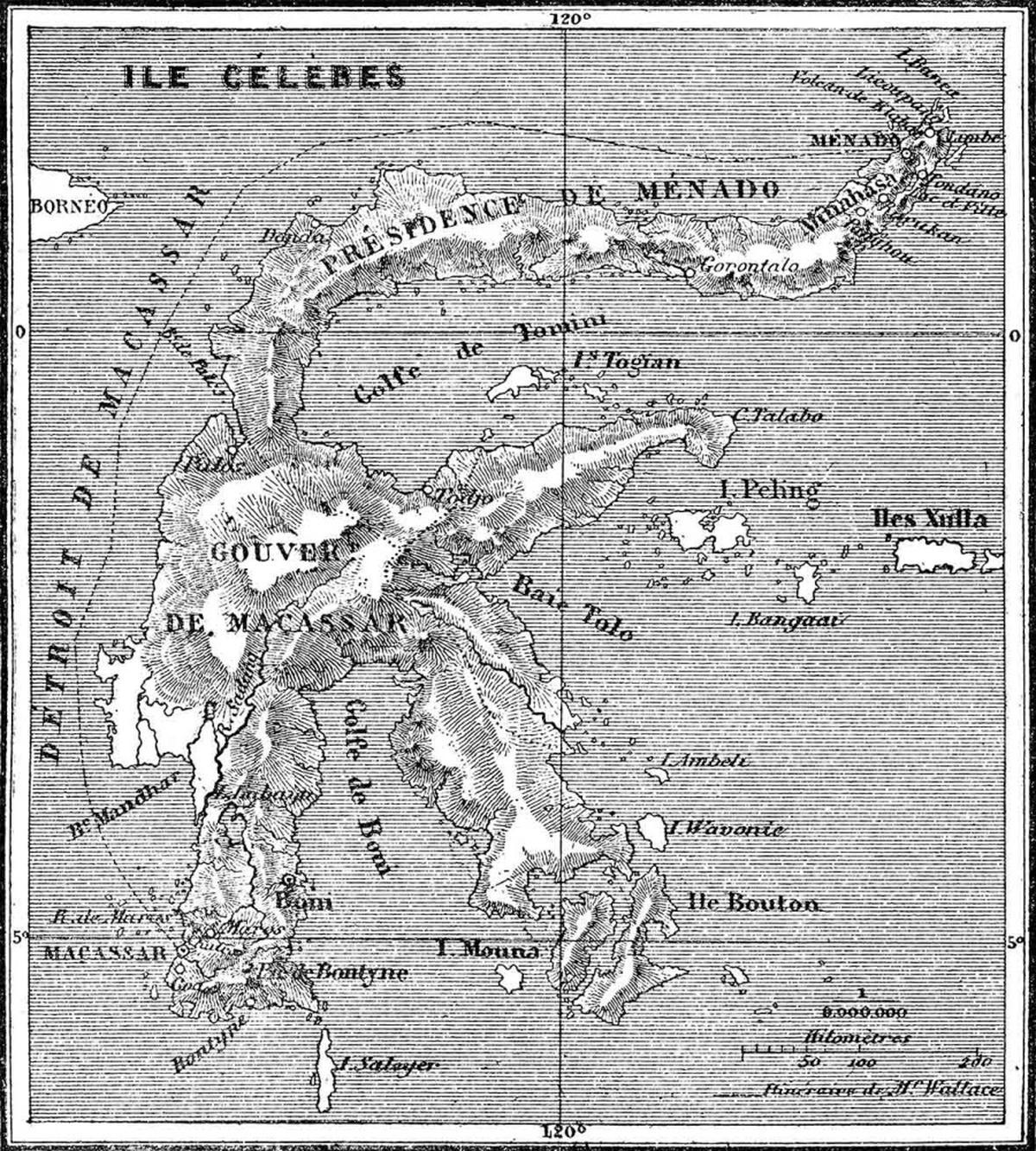 French Map Island — Pattern