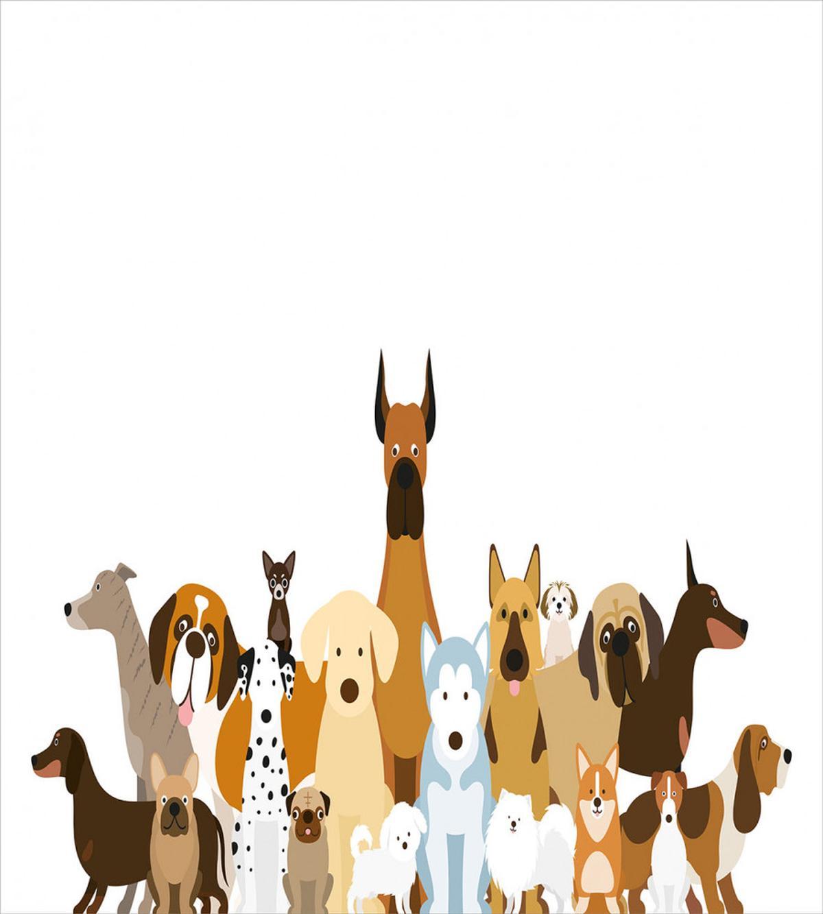 Funny Pet Breeds Cartoon — Pattern