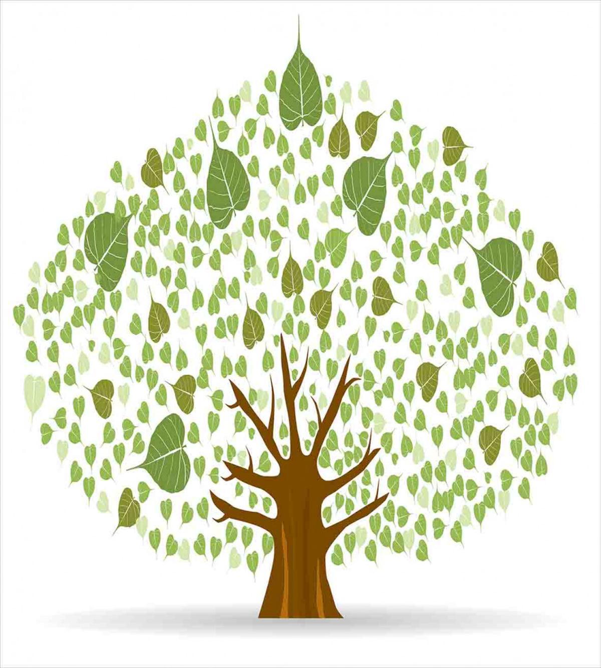 Fig Bodhi Leaves — Pattern