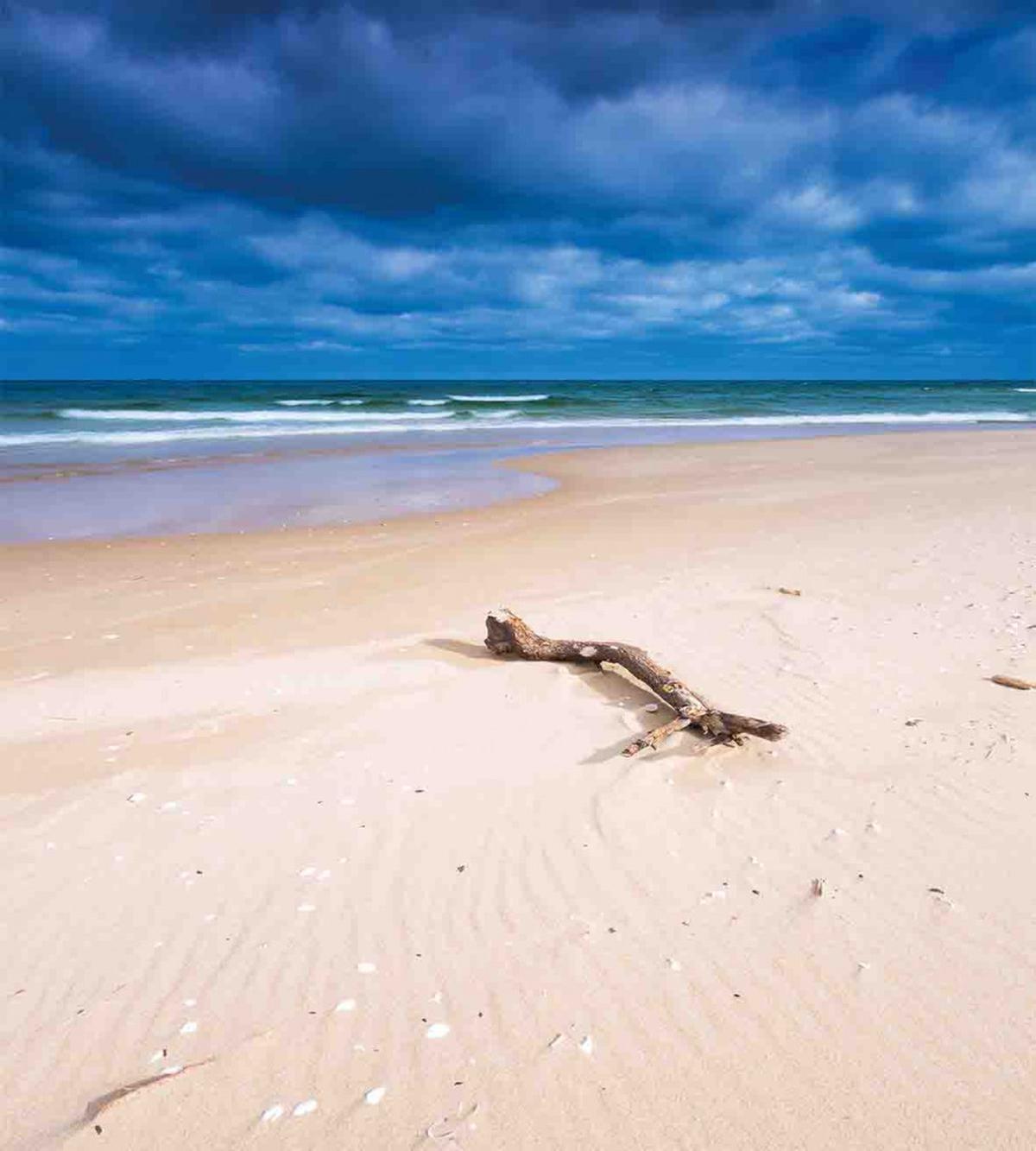 Deserted Sandy Beach — Pattern