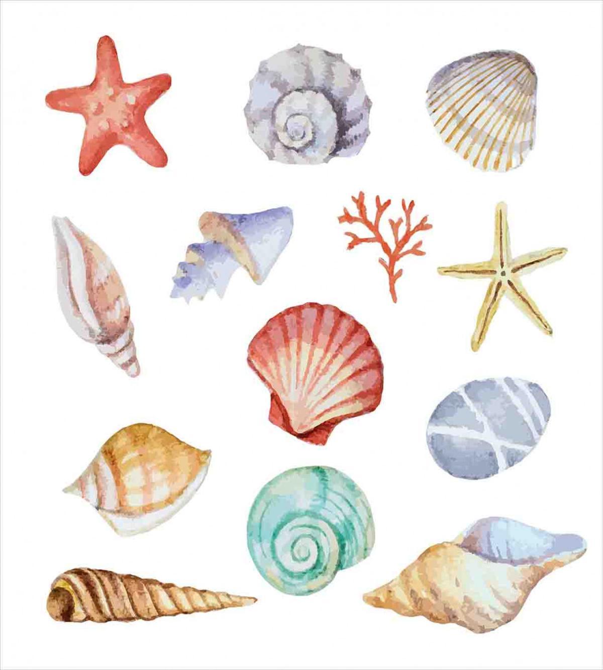 Seashells Exotic Animals — Pattern
