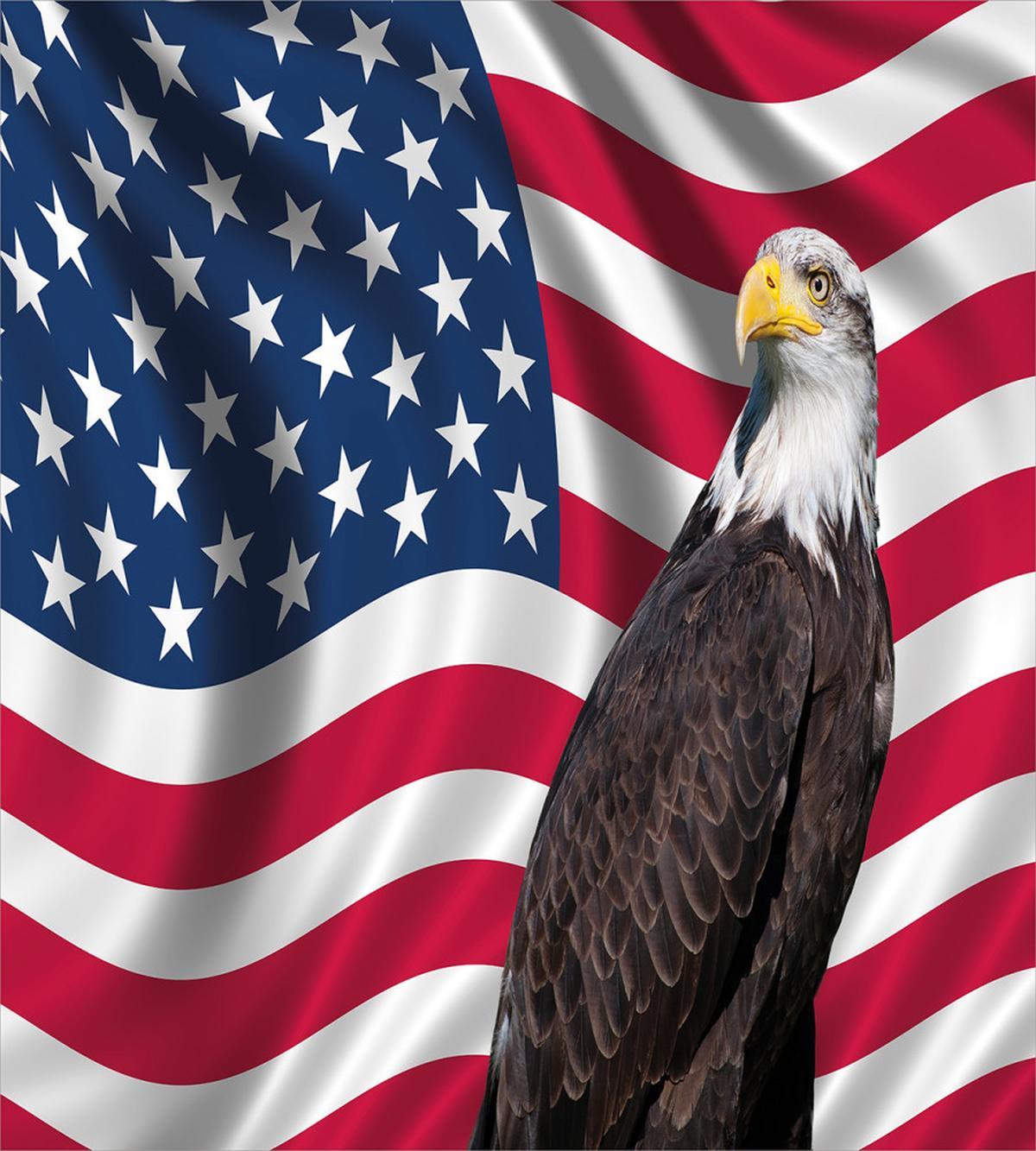 Patriotic America — Pattern