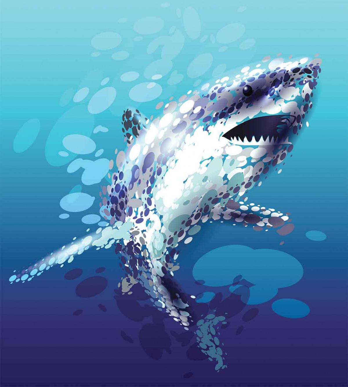 Shark Oceanlife Animal — Pattern