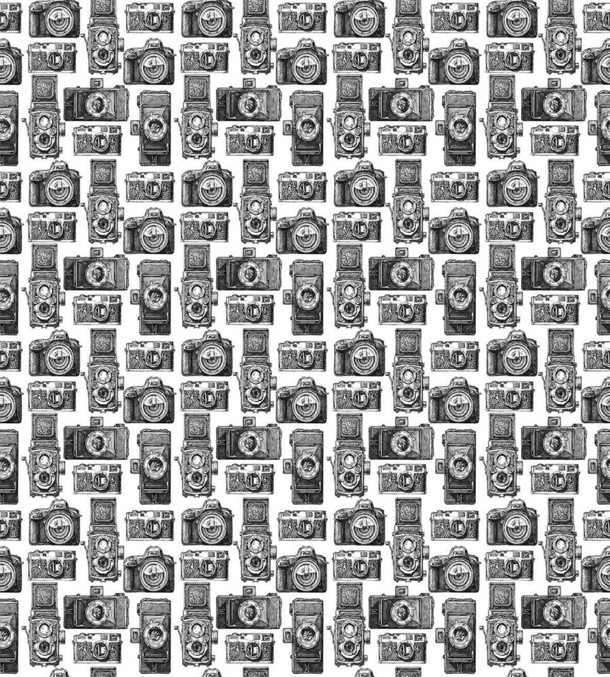 Professional Photographer — Pattern