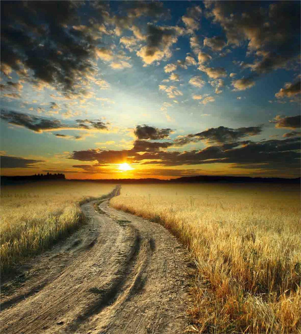 Road Field with Ripe — Pattern