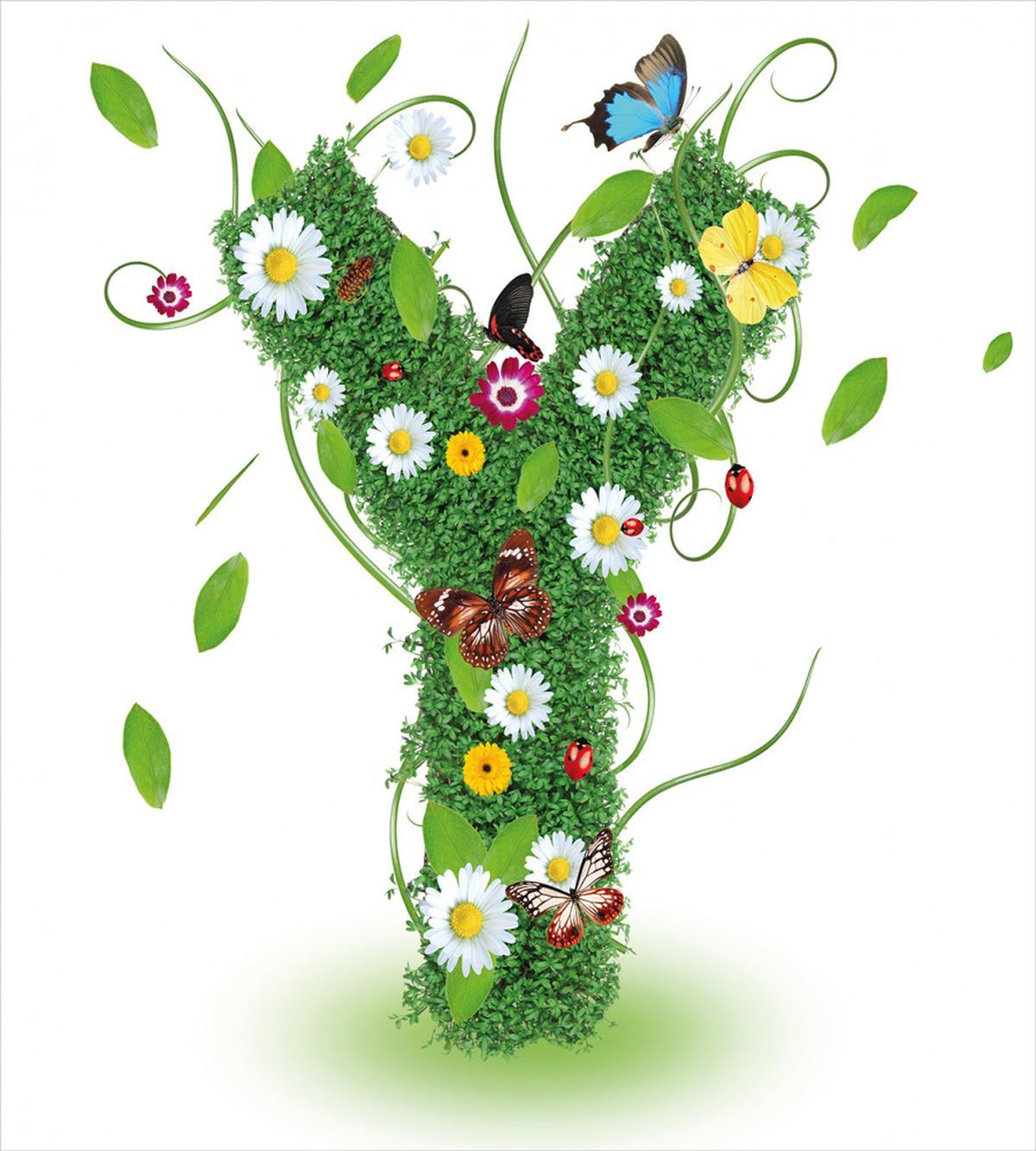 Spring Inspirations Y — Pattern