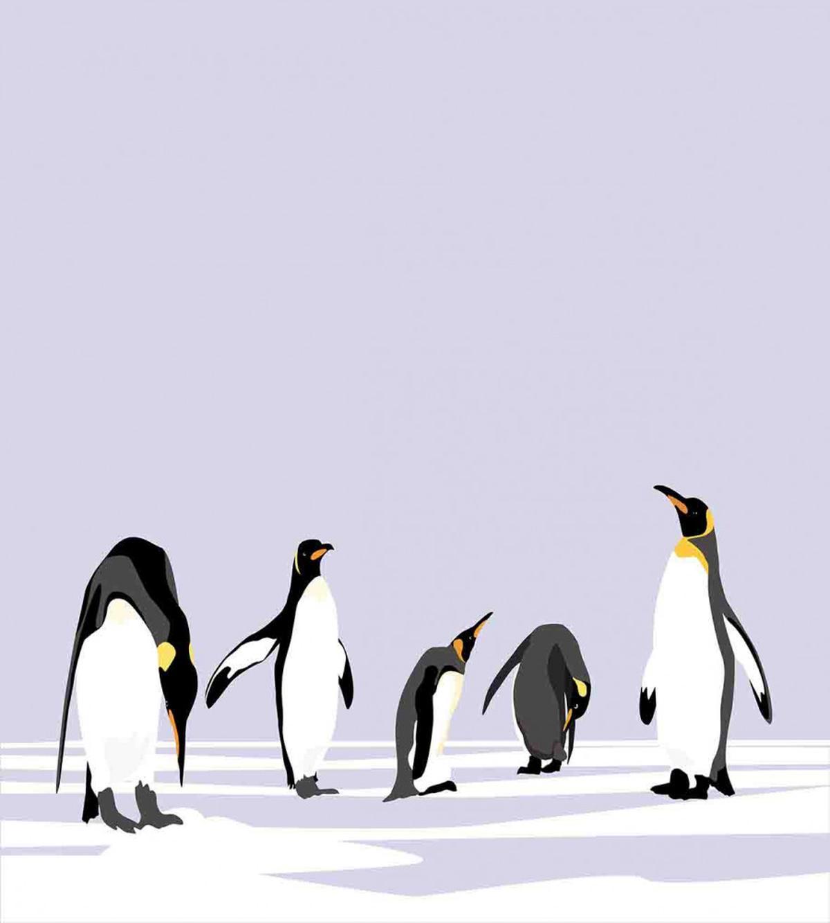 Polar Icy Land Winter — Pattern