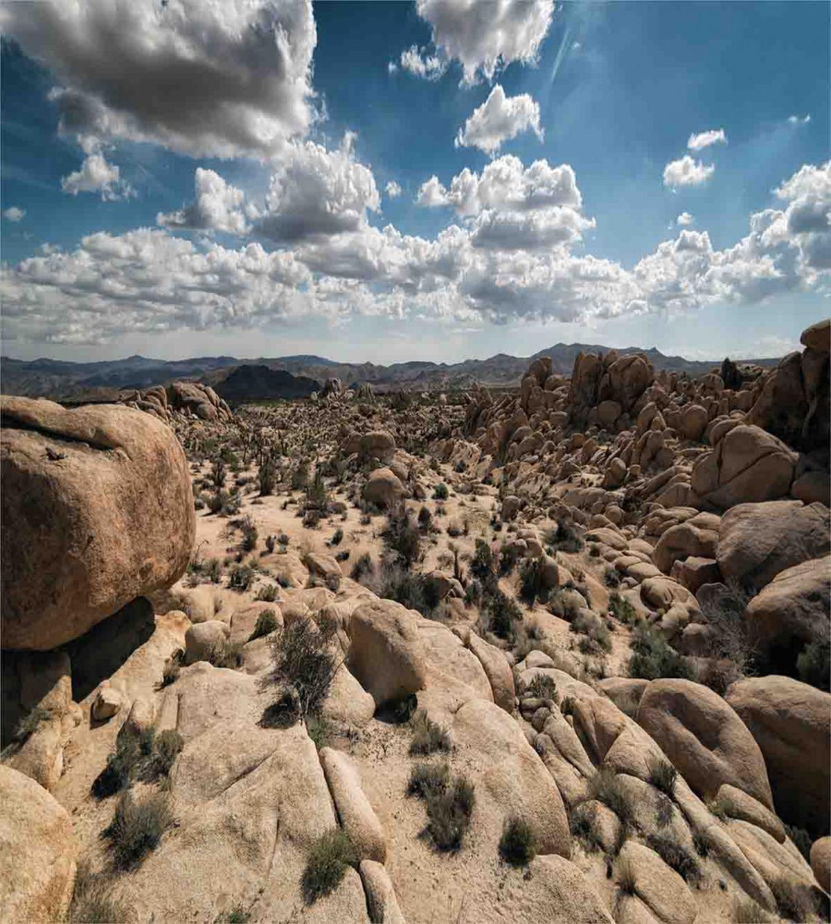 Cliffs Panorama — Pattern