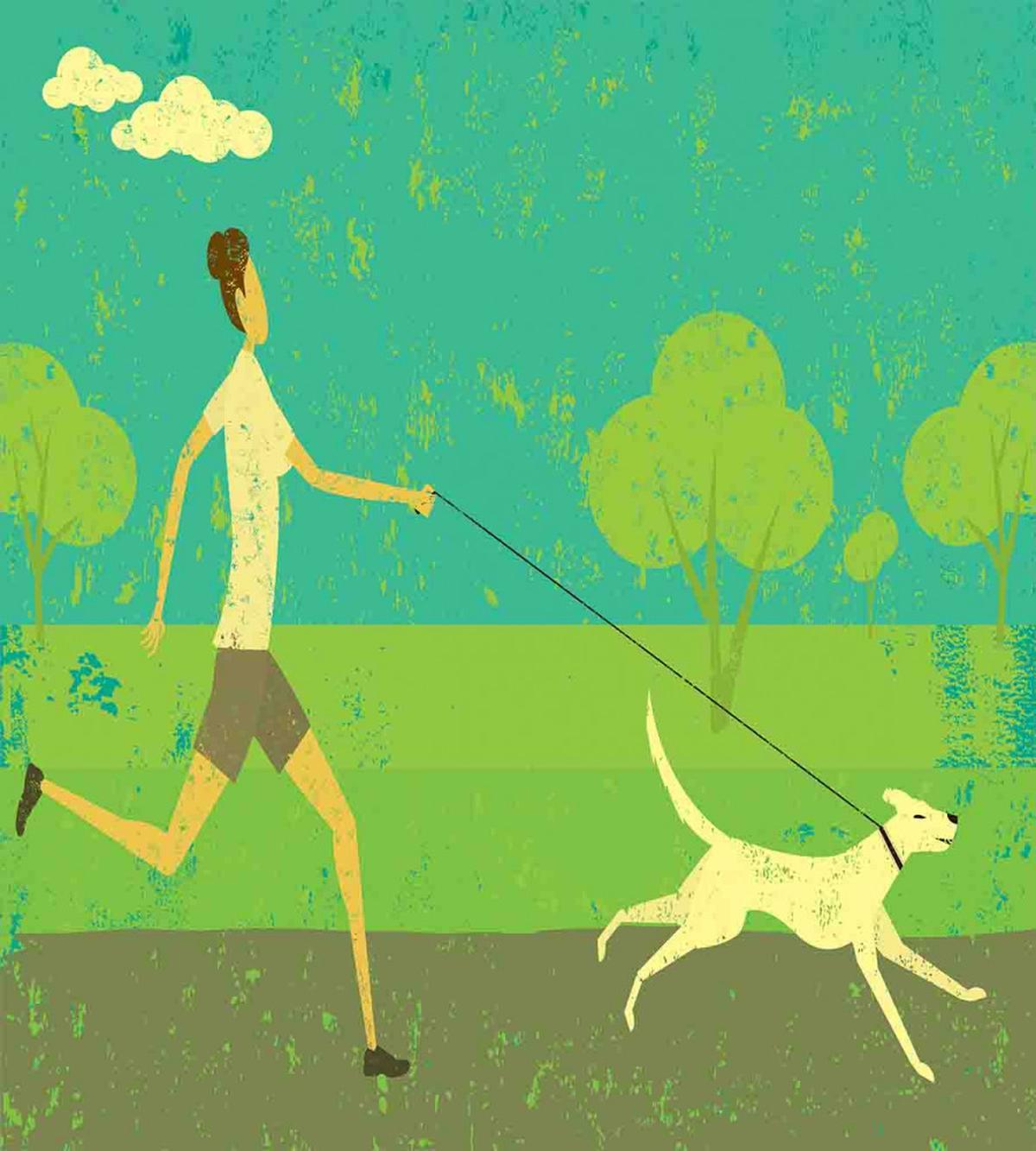 Woman Walking with Her Pet — Pattern
