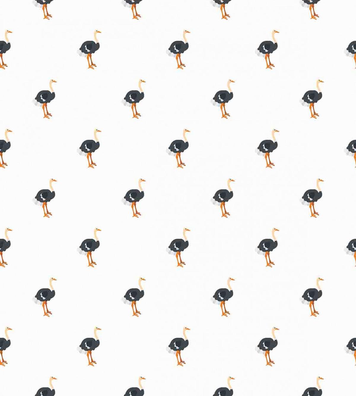 Baby Birds Africa Wildlife — Pattern