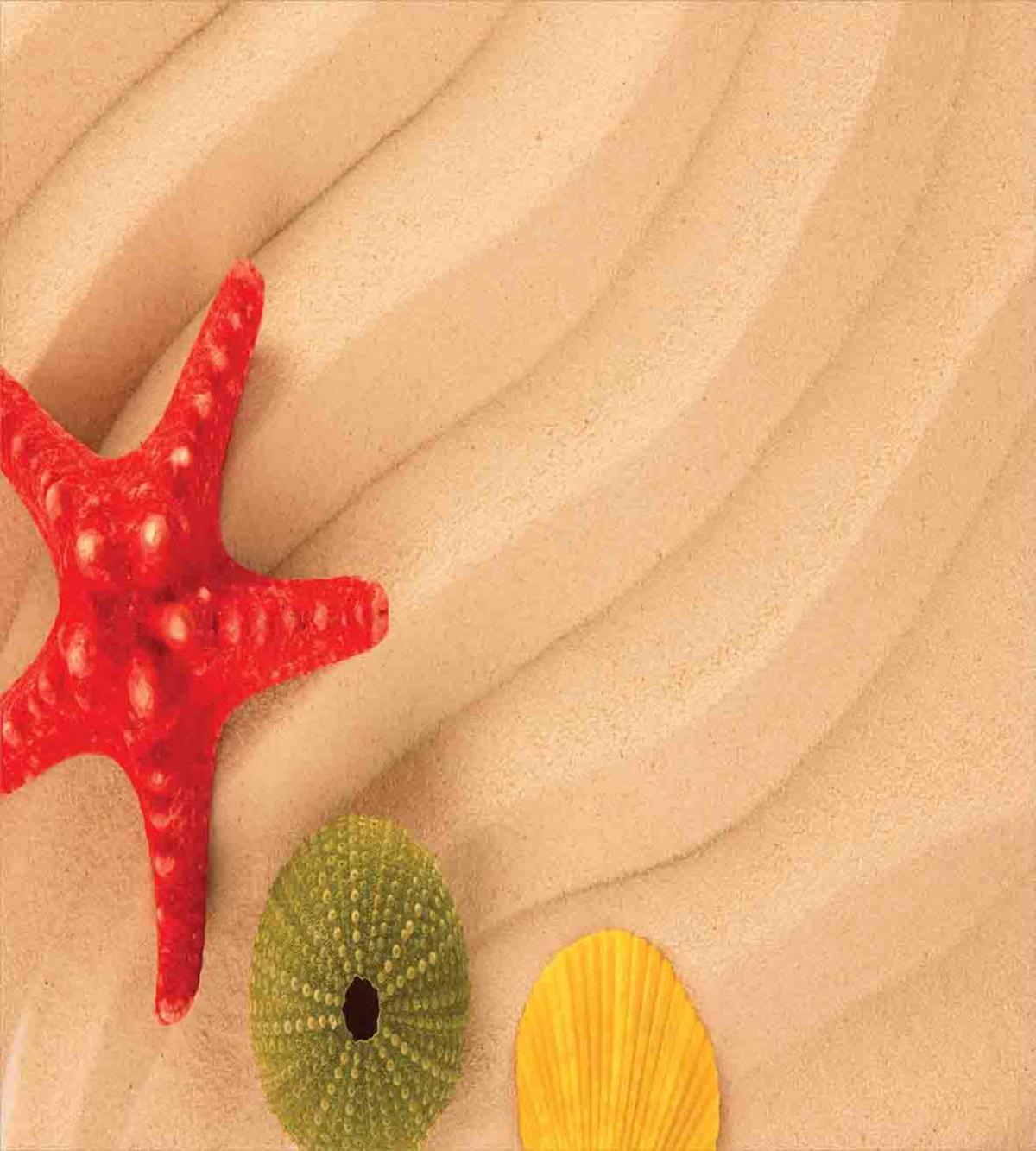 Exotic Caribbean Beach — Pattern