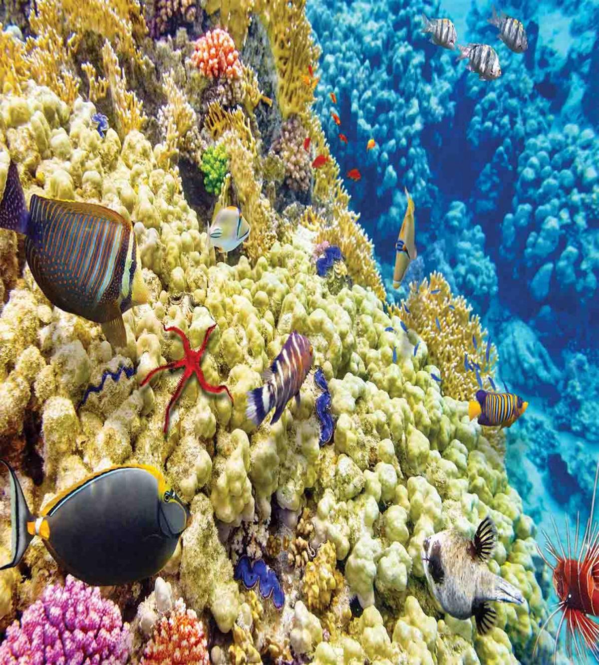 Sea Exotic Natural View — Pattern