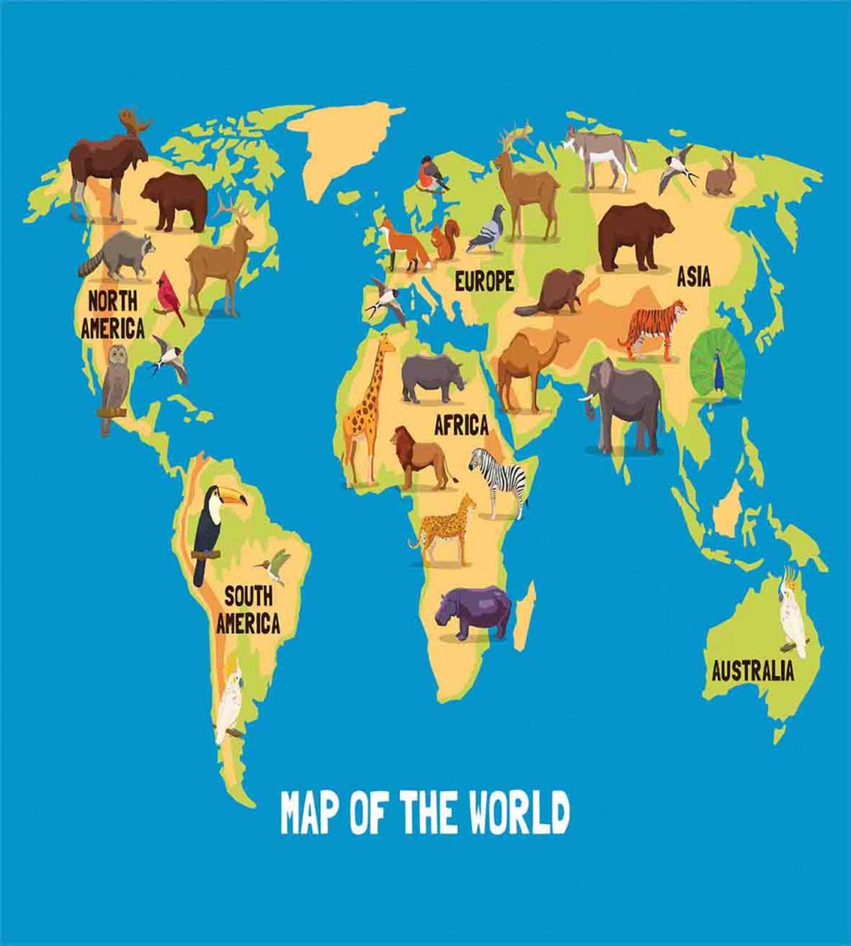 Flat Map of World — Pattern