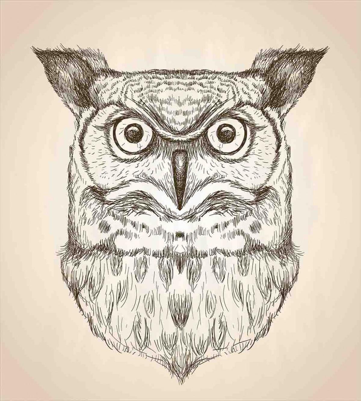 Wildlife Animal Head Sketch — Pattern