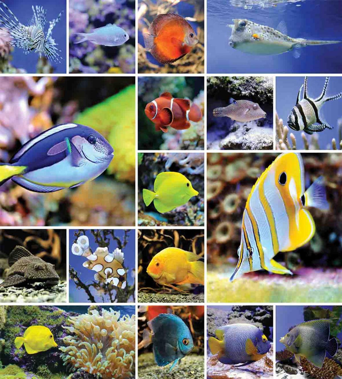Collage of Underwater — Pattern