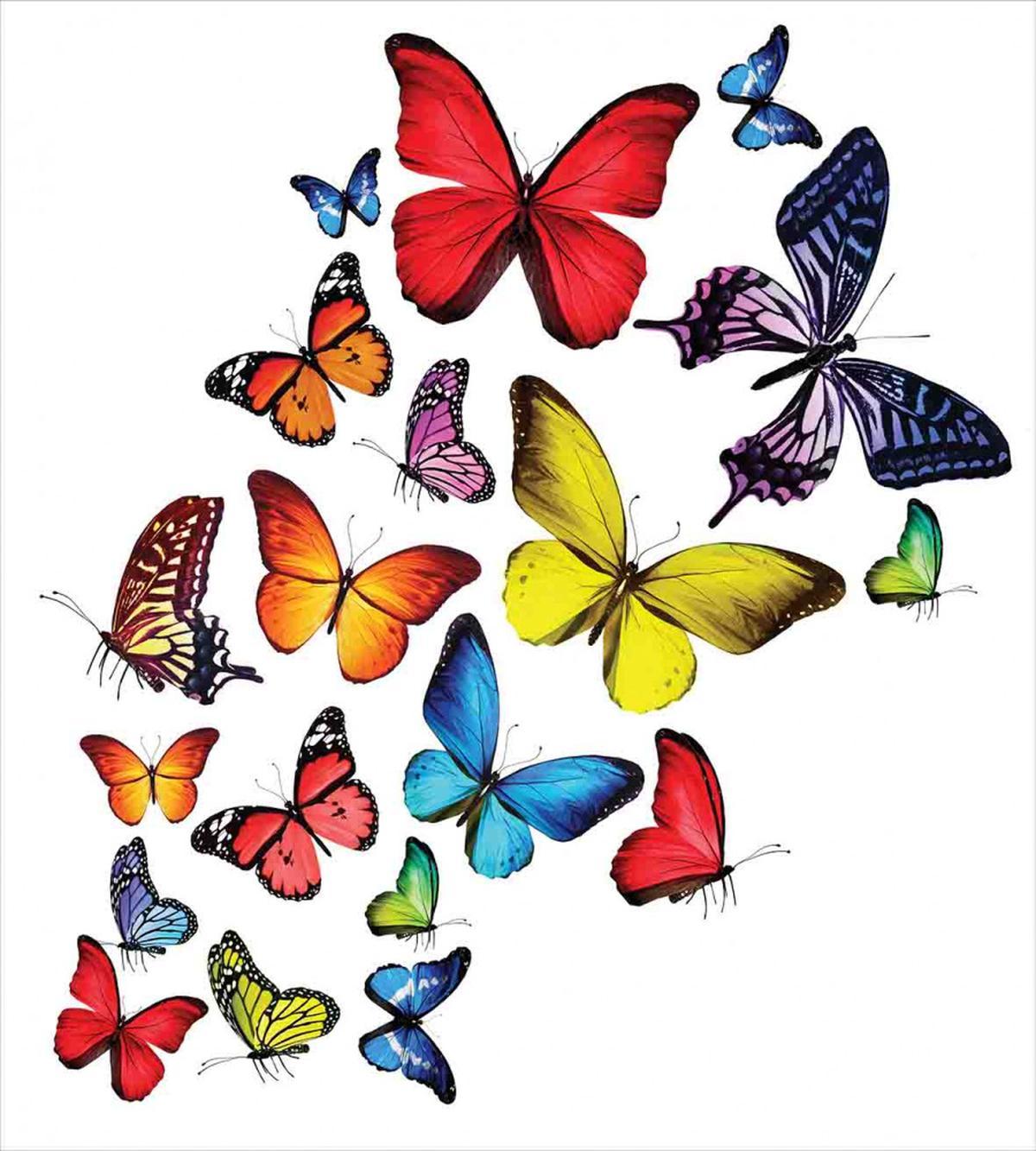 Joy Wildflowers Hiking — Pattern