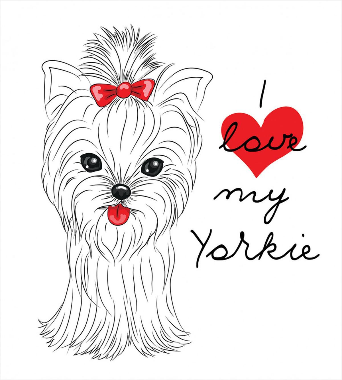 I Love My Yorkie Terrier — Pattern