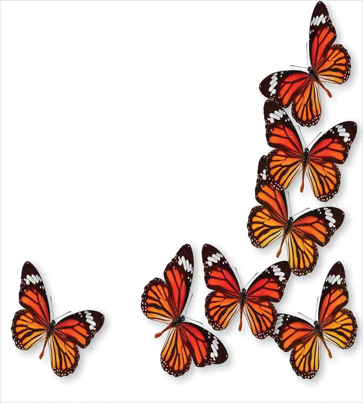 Spring Monarch Bug — Pattern