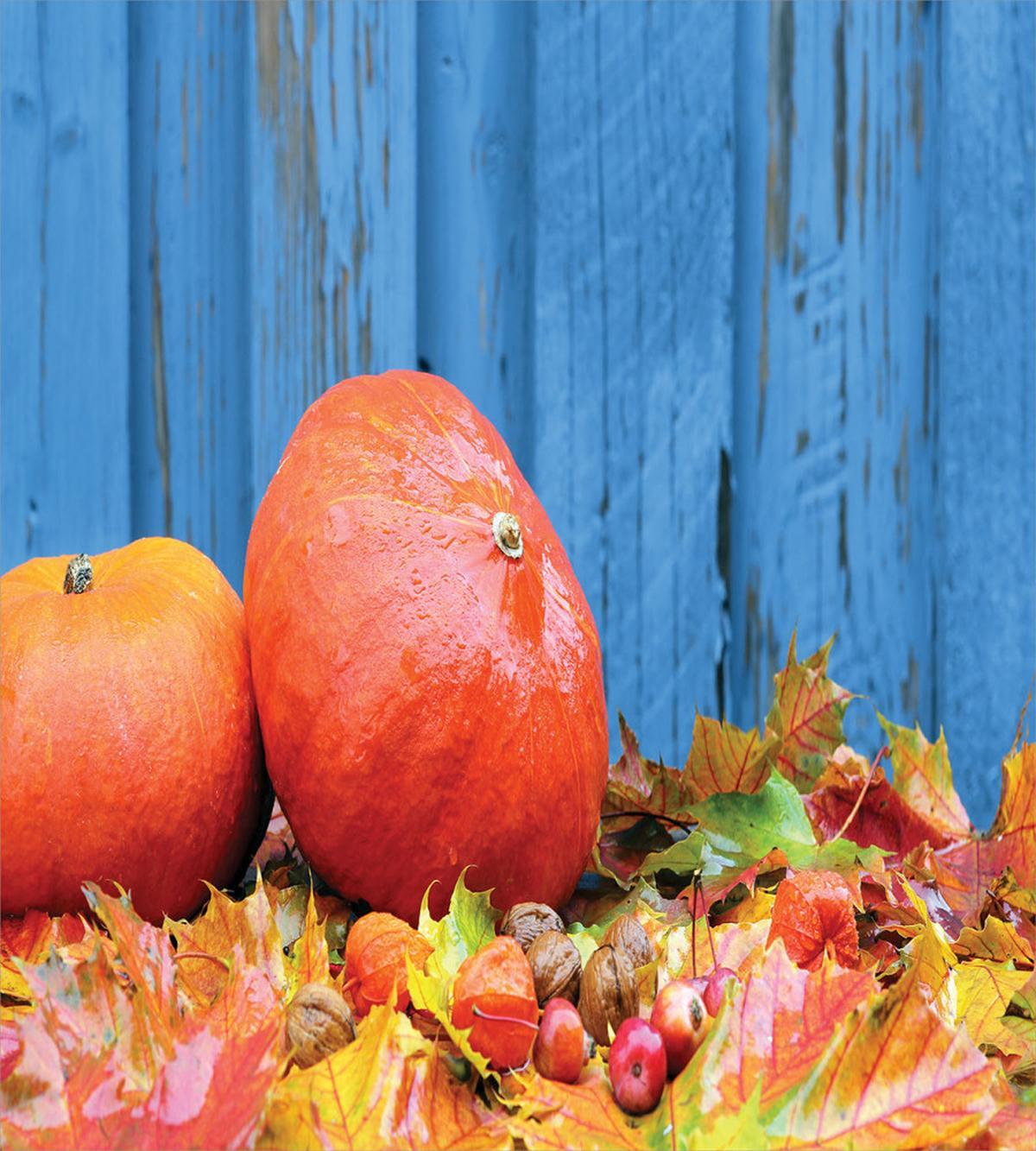 Fruit and Fall Leaf — Pattern