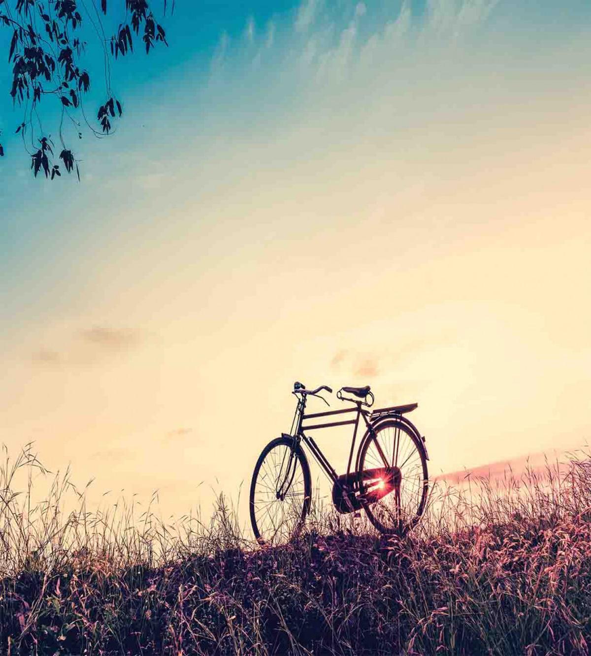 Sunset Bicycle Pastel — Pattern