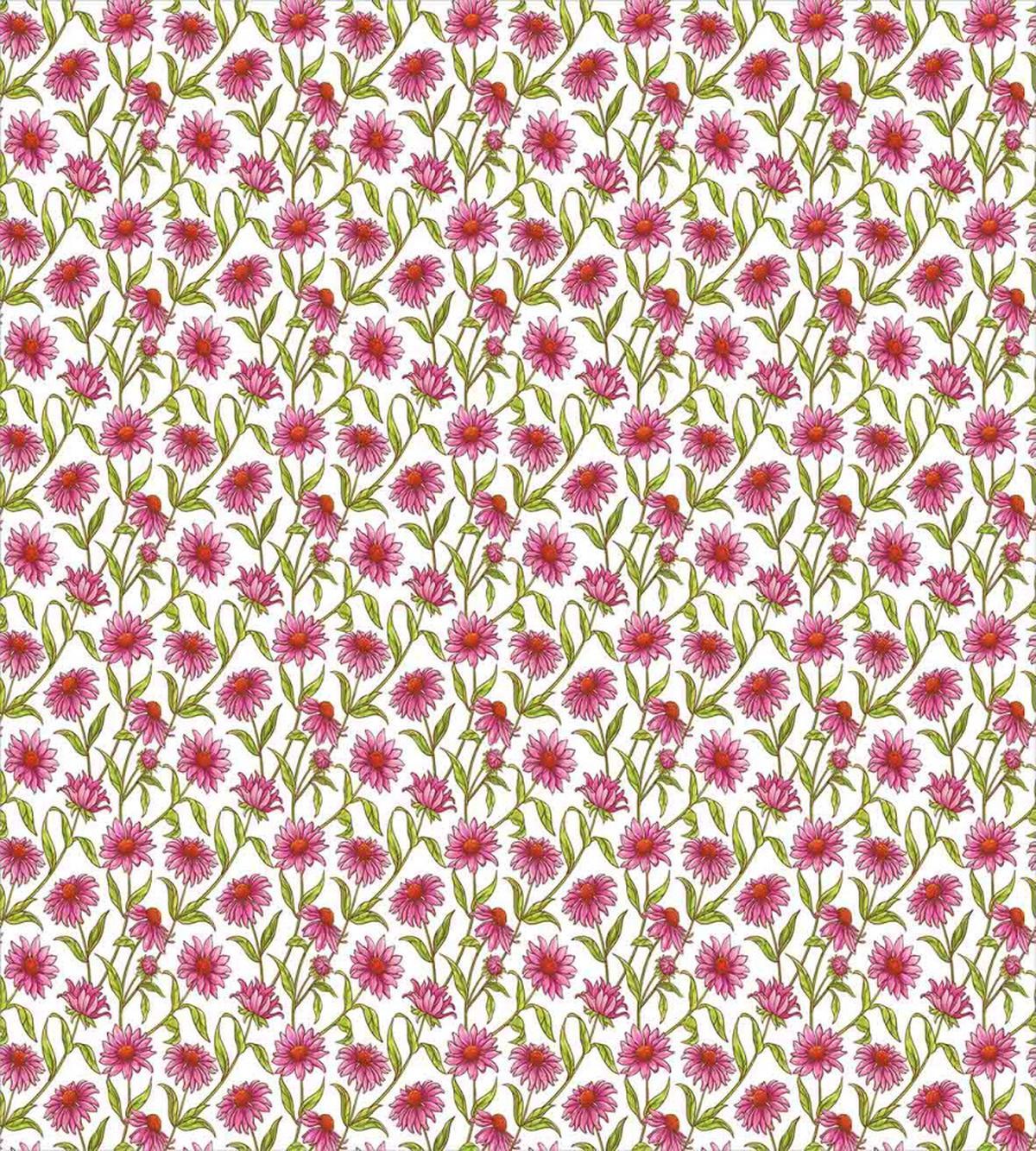 Fresh Organic Echinacea — Pattern