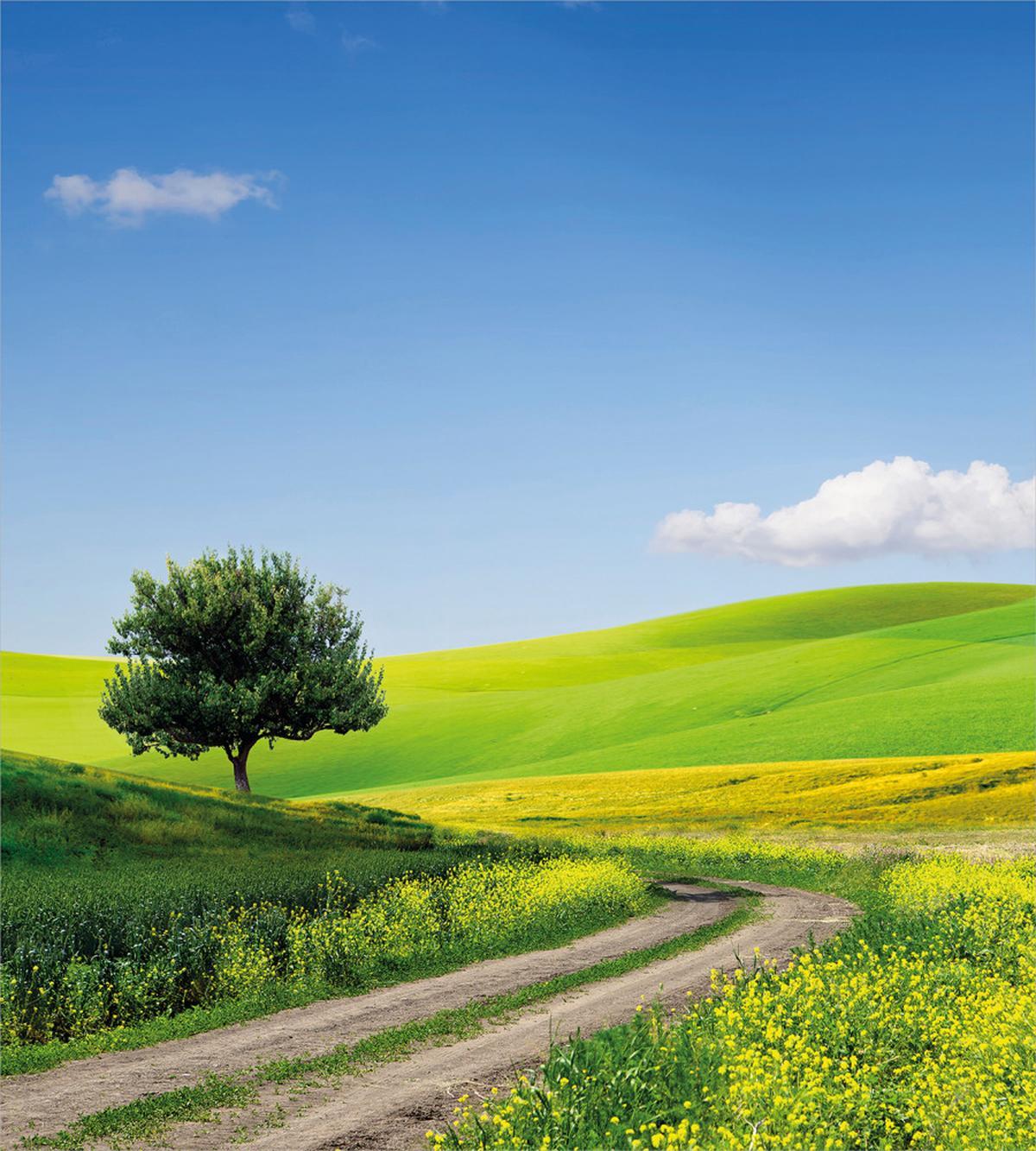 Rural Country Scenery — Pattern