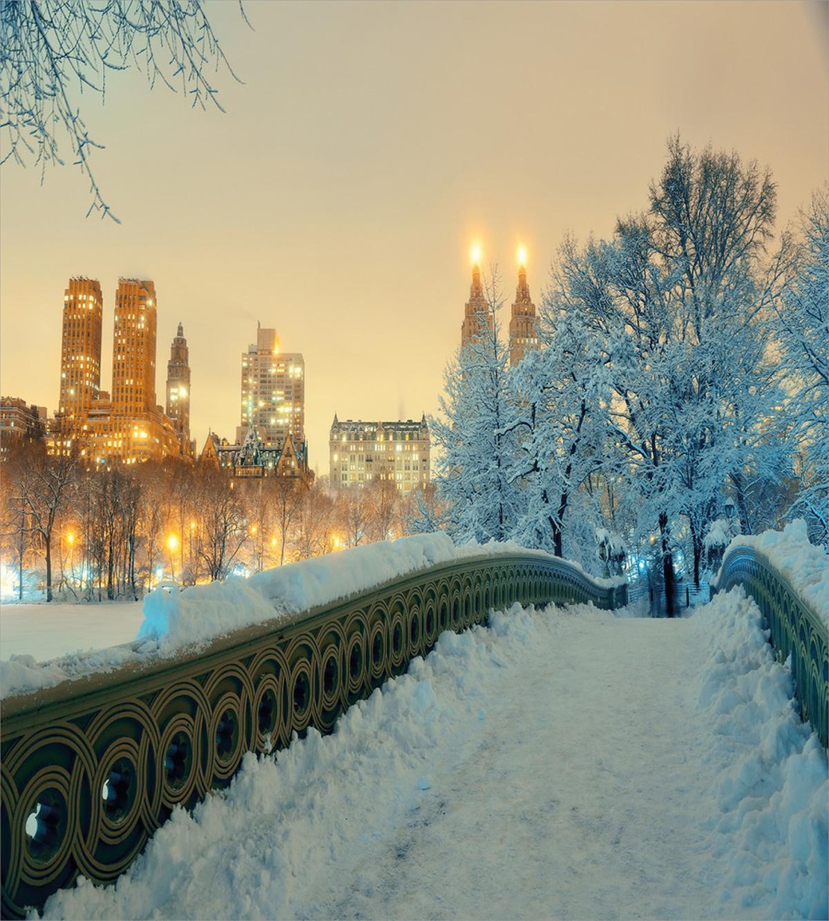 Central Park New York — Pattern