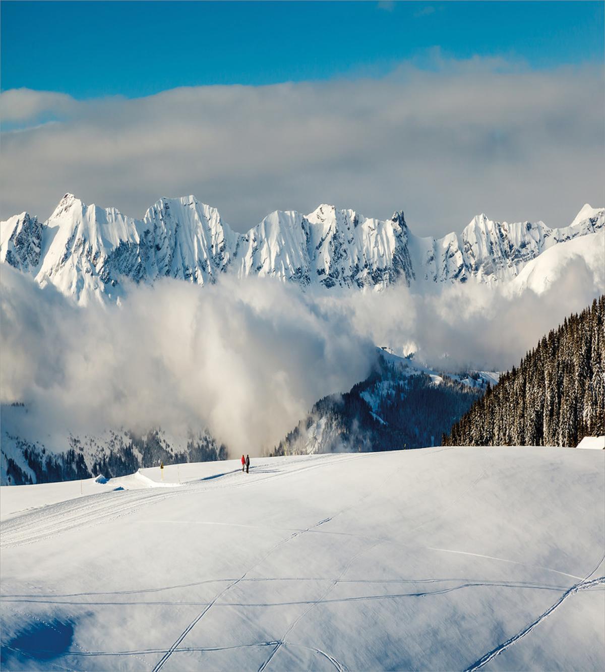 Panoramic Mountains Walk — Pattern