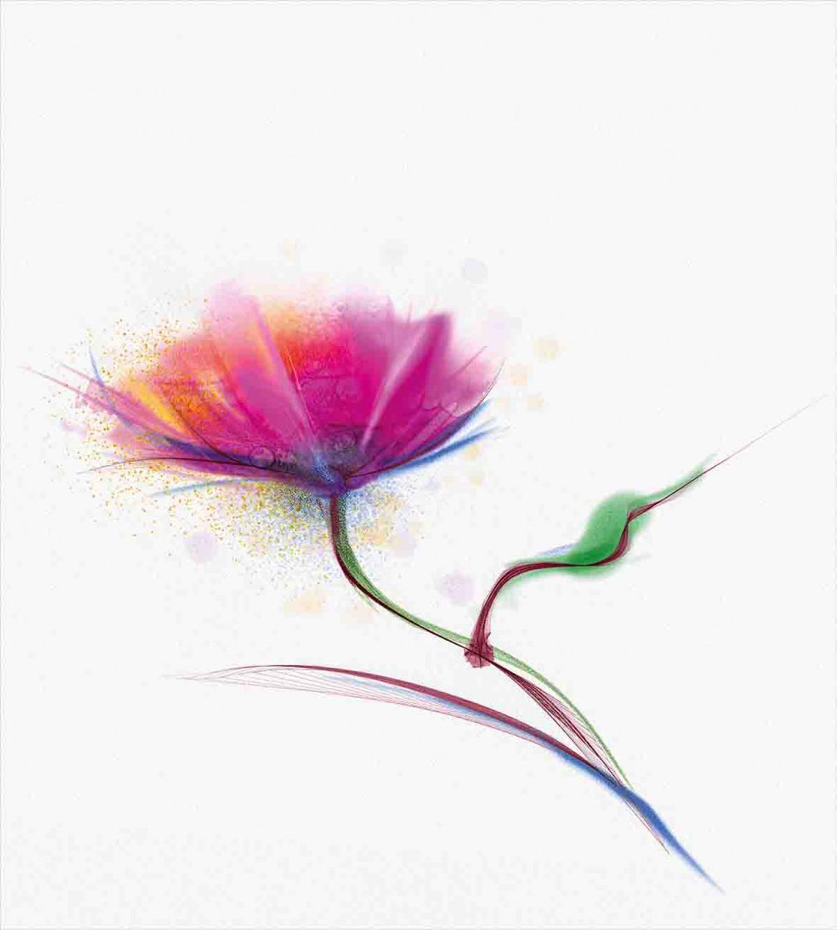 Watercolor Poppy Flower — Pattern