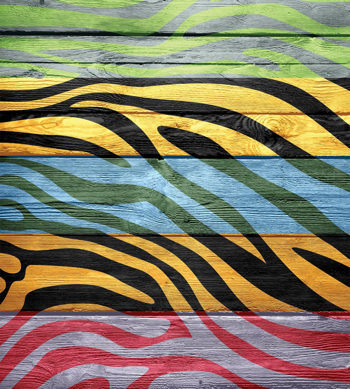Colorful Animal — Pattern