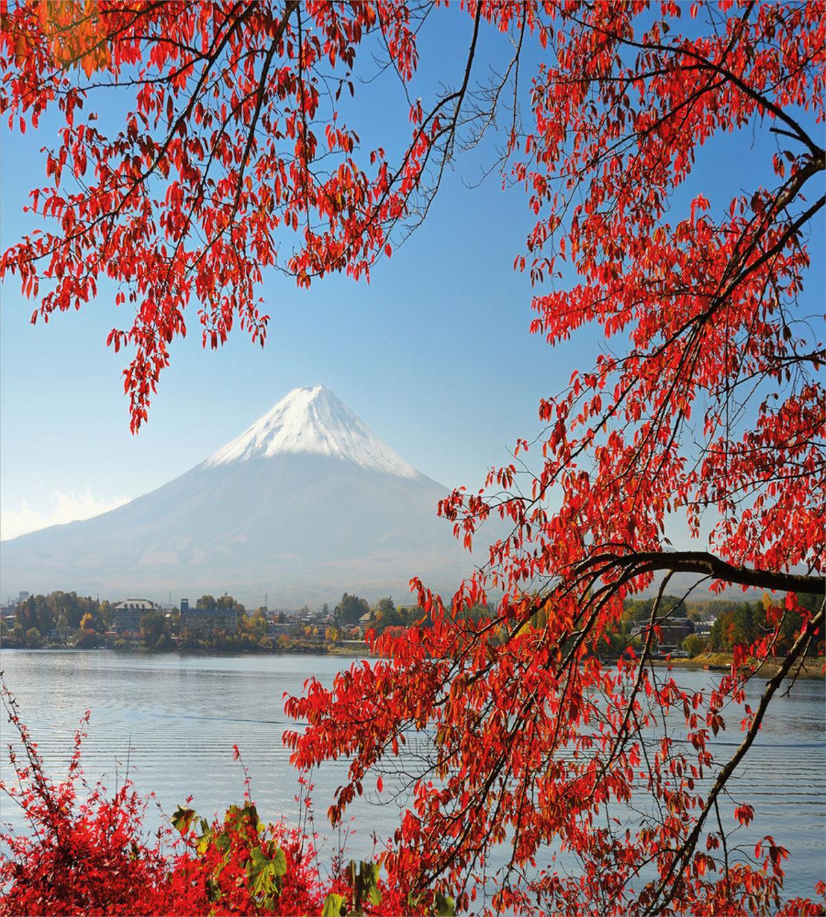 Mountainous Area Fall Season — Pattern