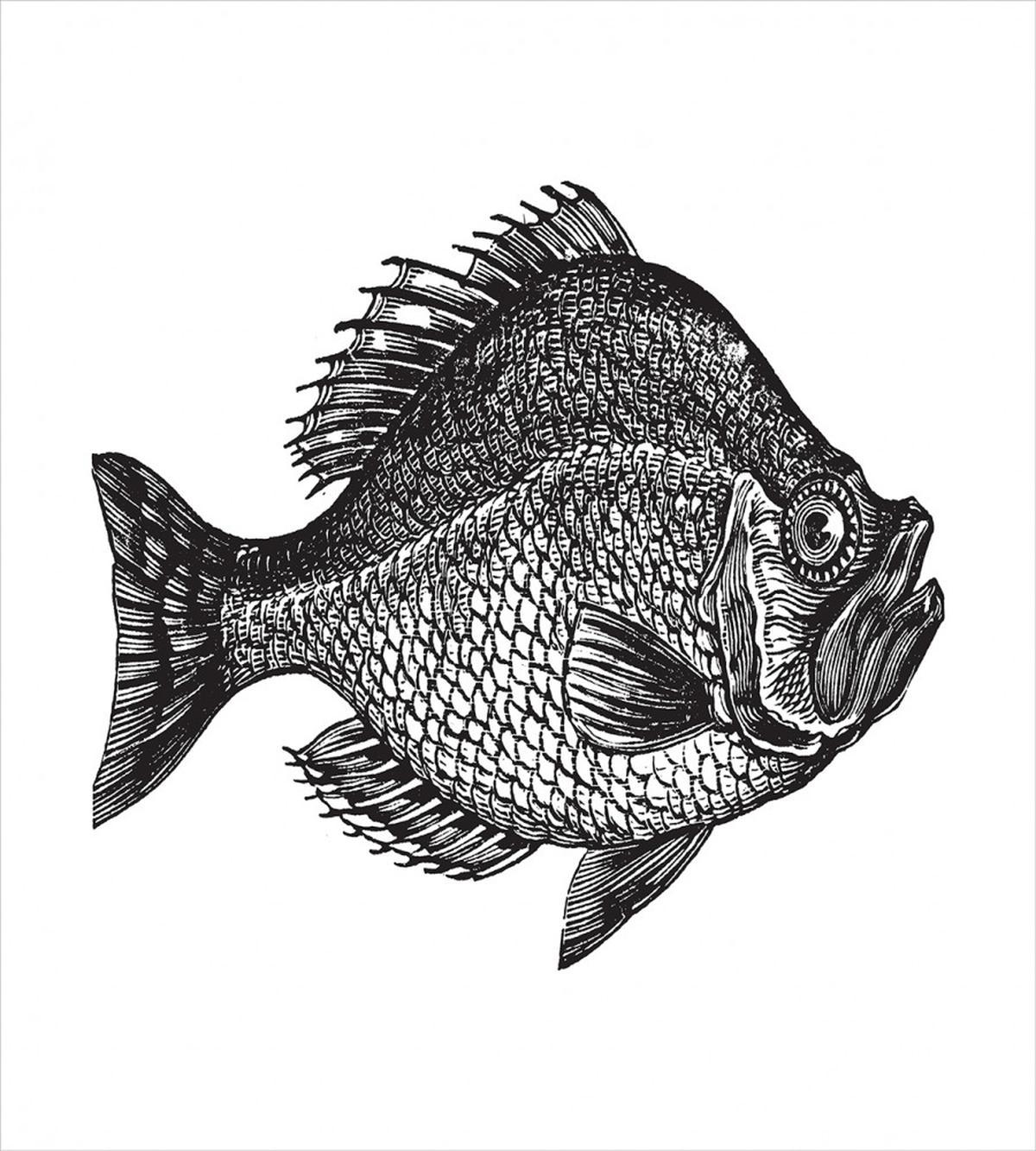 Rock Bass Black and White — Pattern