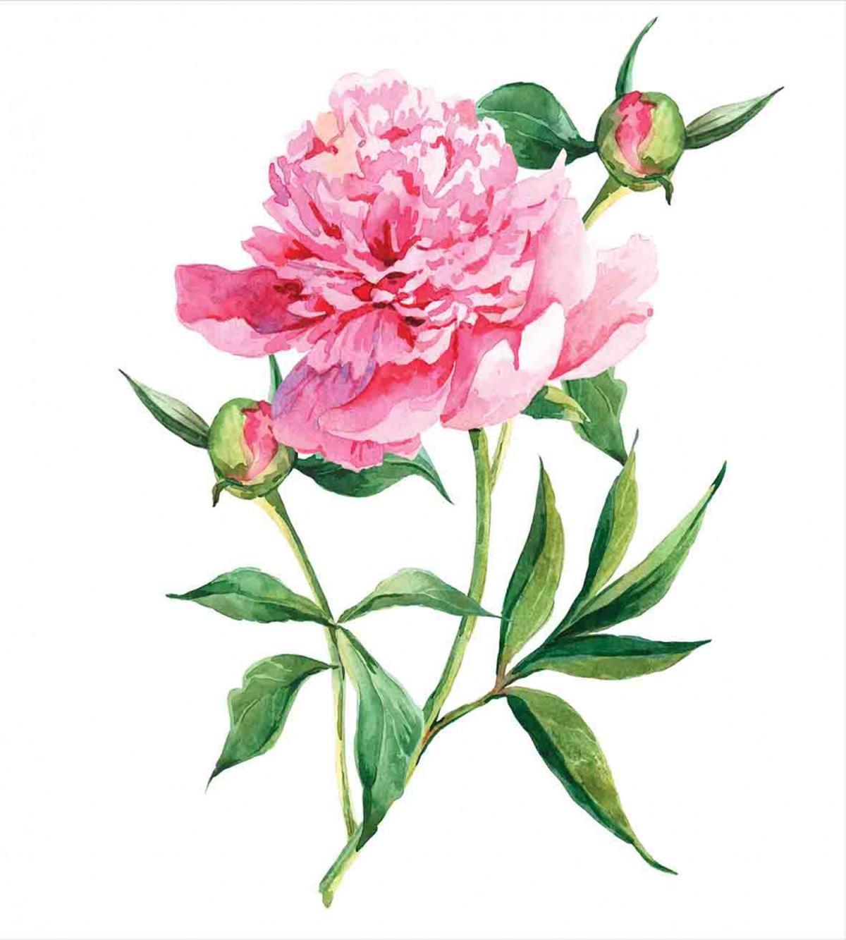 Vintage Peony — Pattern