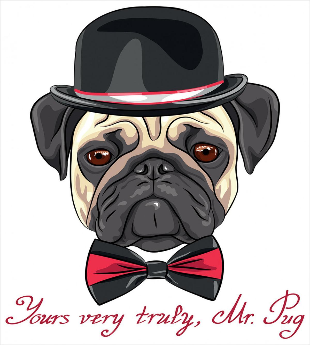 Hipster Frowning Dog Sketch — Pattern