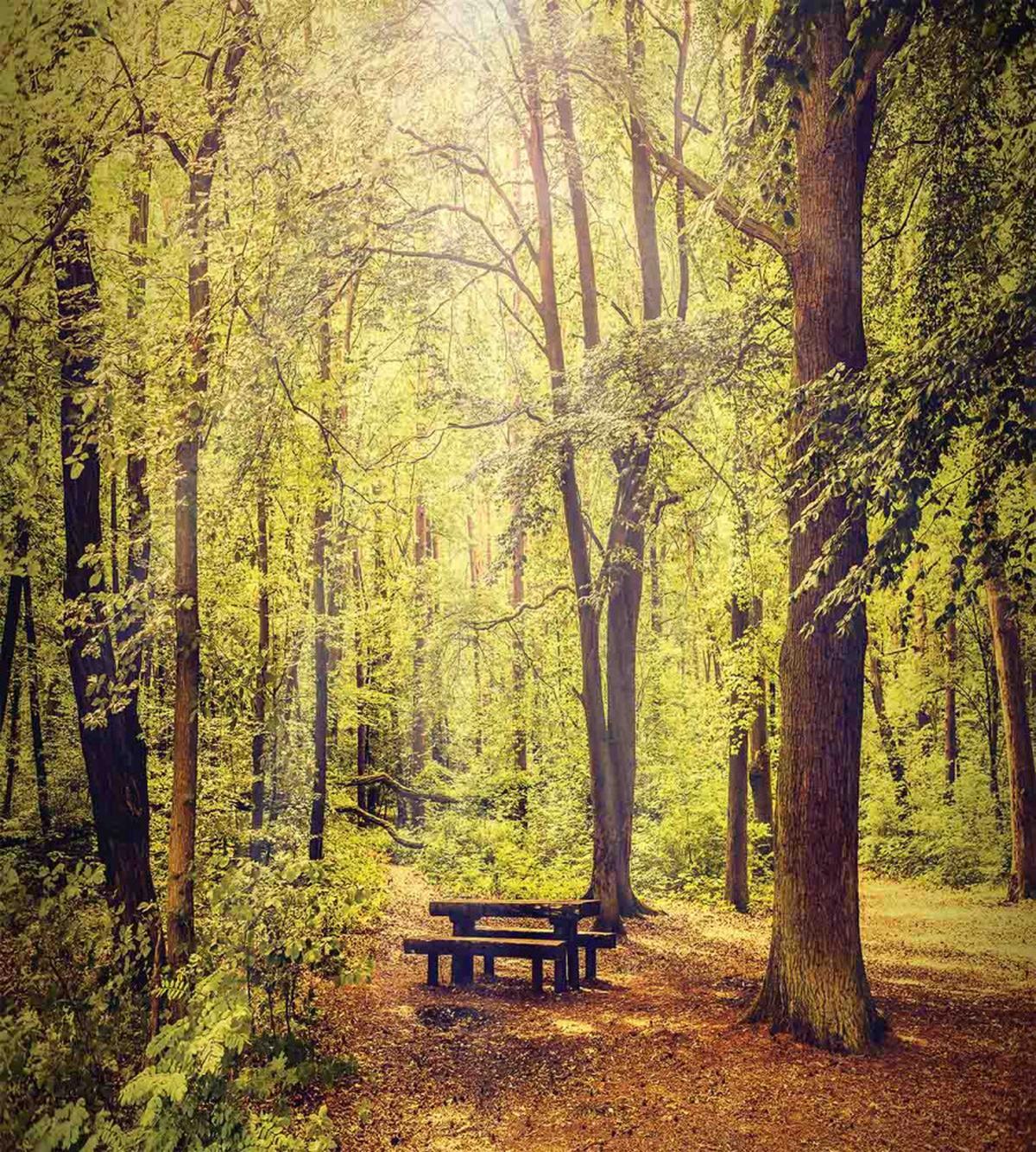 Nature Serenity Peace — Pattern