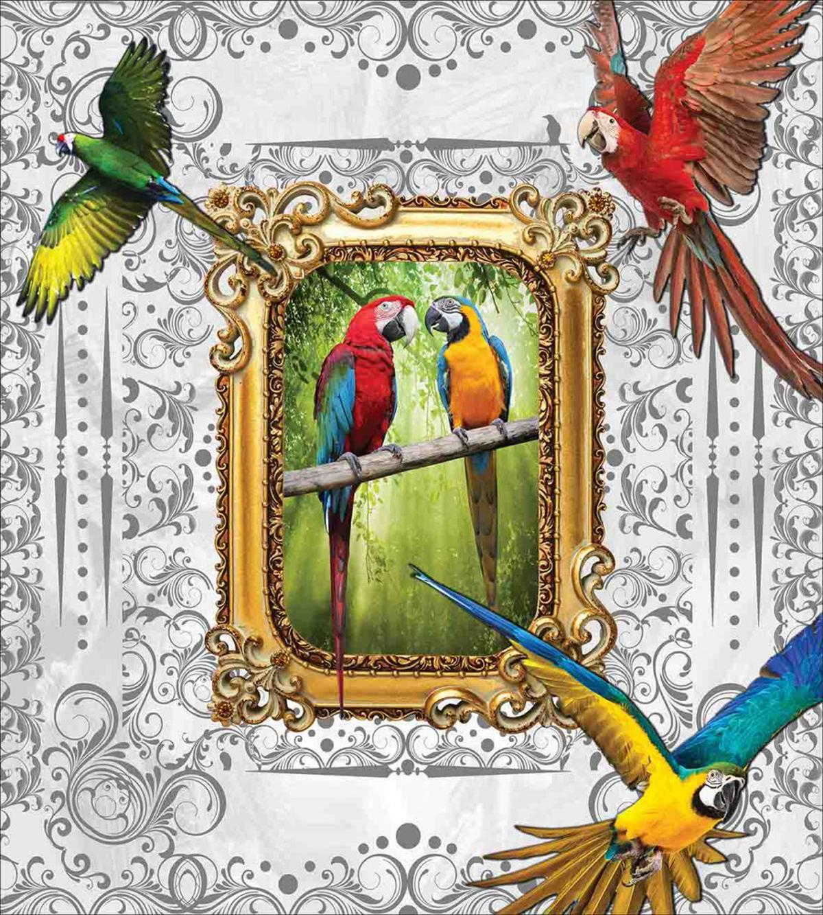 Exotic Colorful Birds Image — Pattern