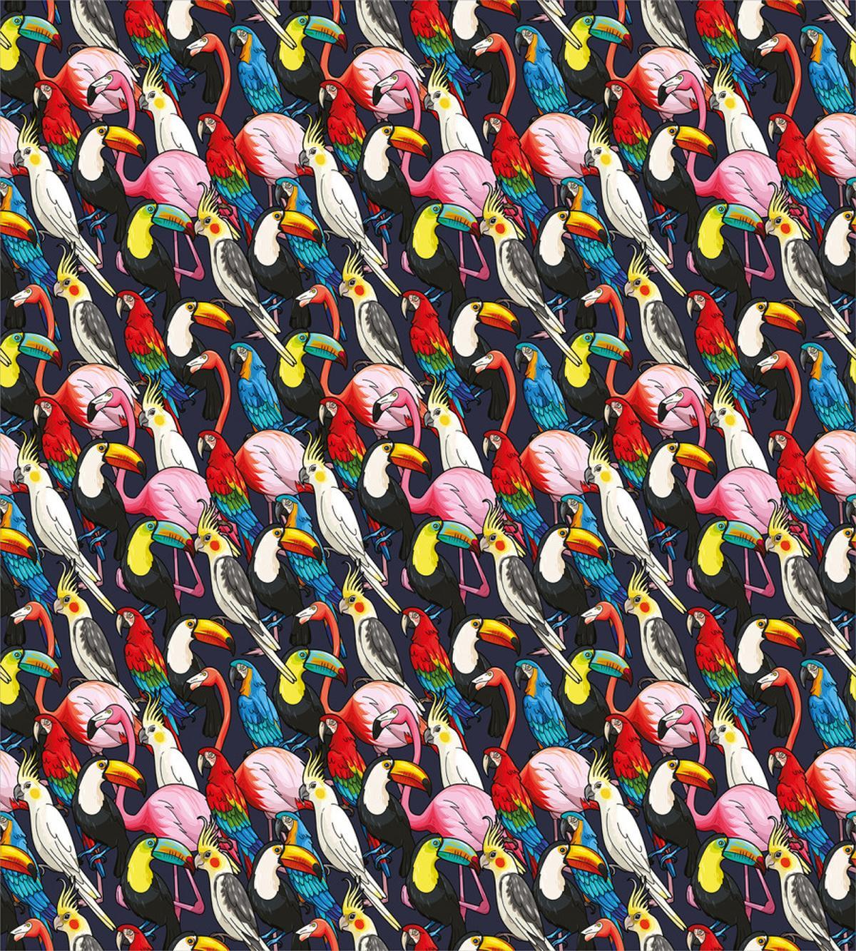 Colorful Exotic Birds — Pattern