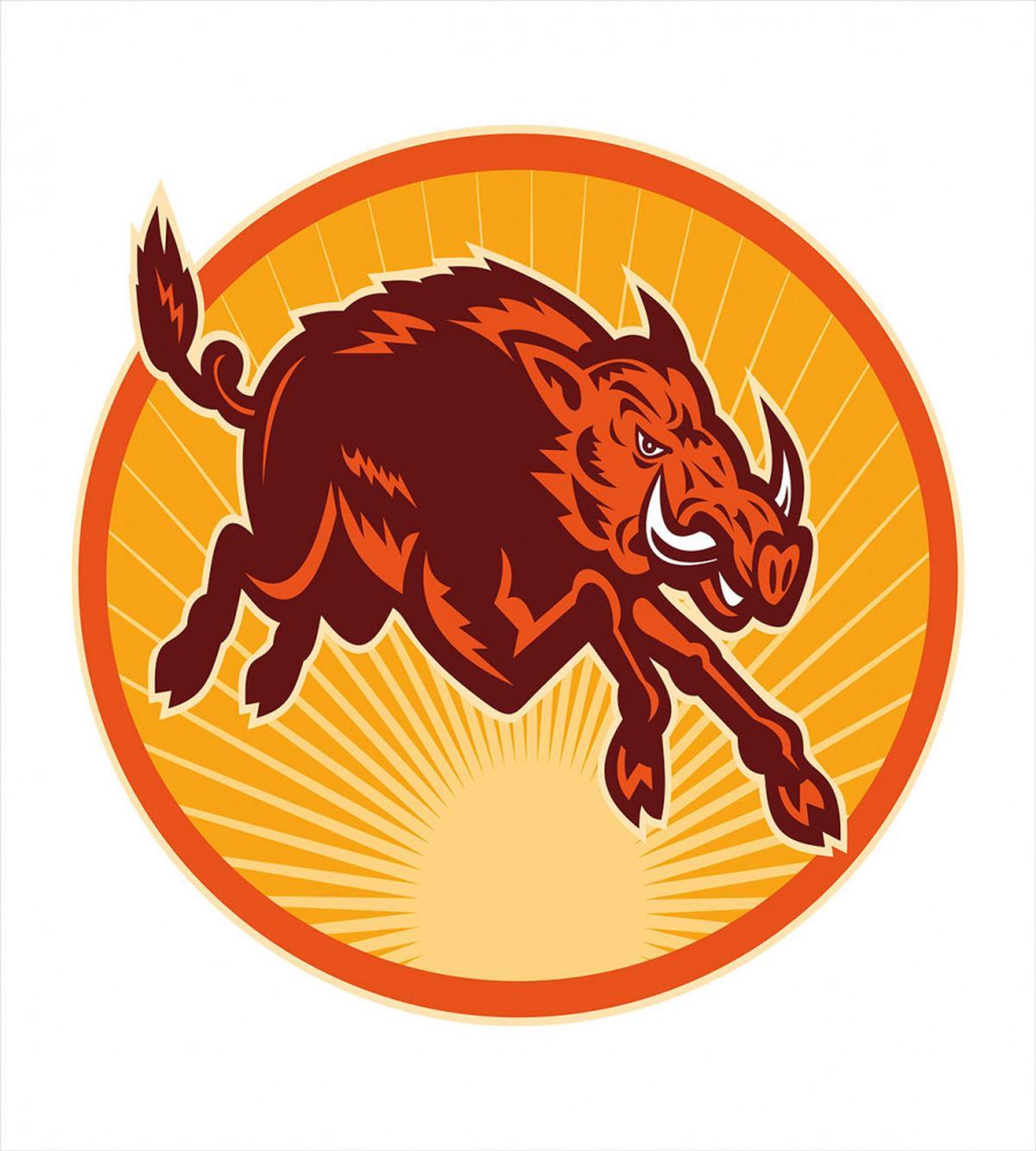 Retro Attacking Wild Boar — Pattern