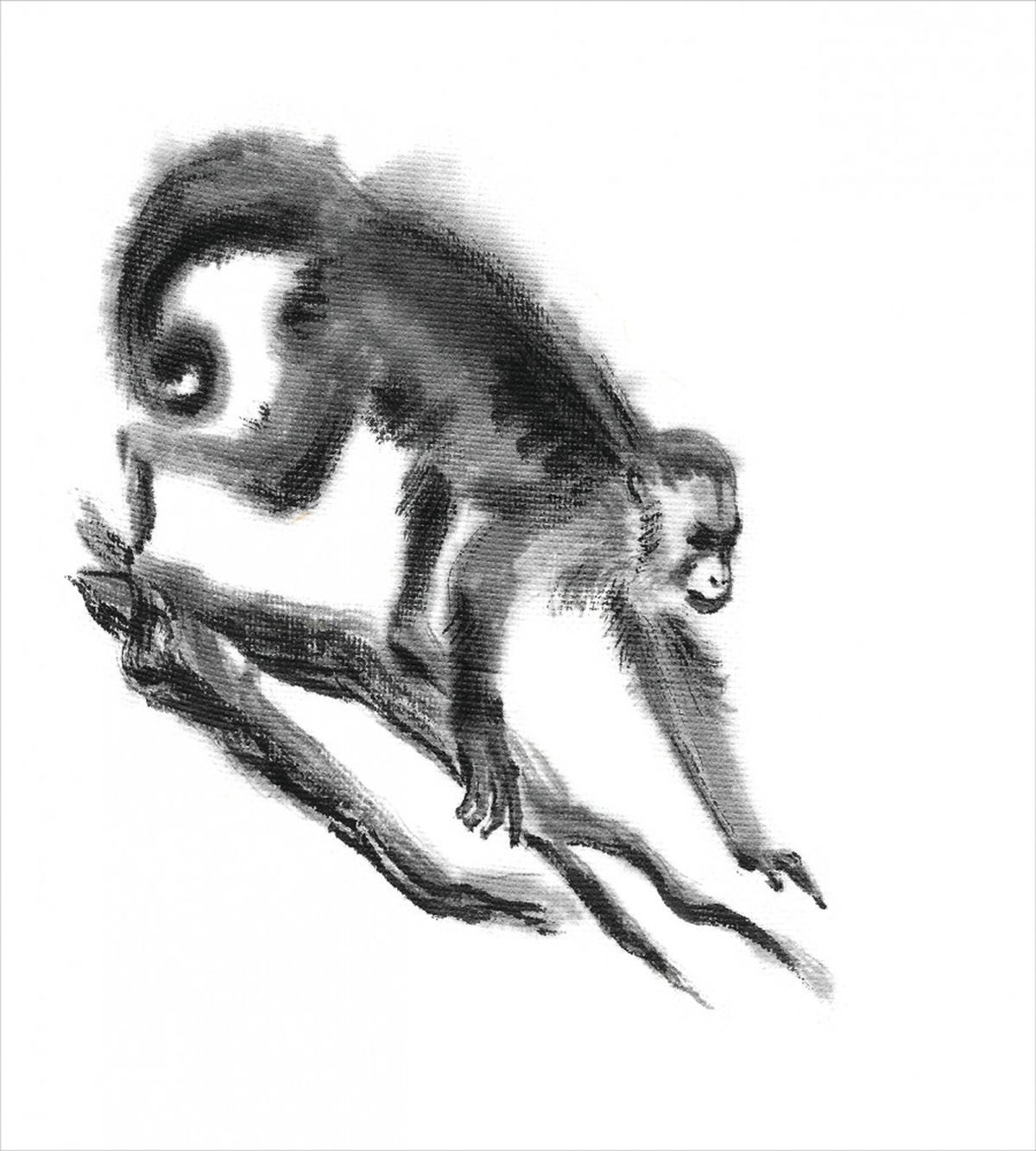Exotic Jungle Monkey — Pattern