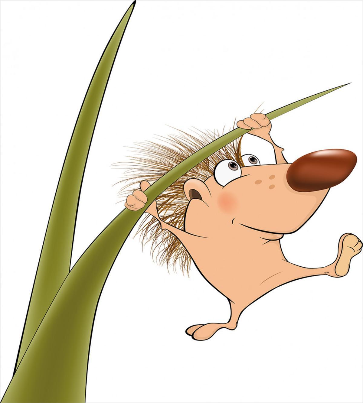Small Hadgehog — Pattern