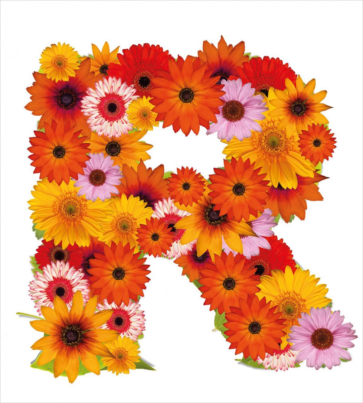 Gerbera Daisies Style — Pattern