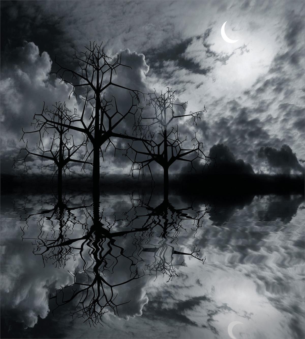 Trees Night Sky Cloud — Pattern