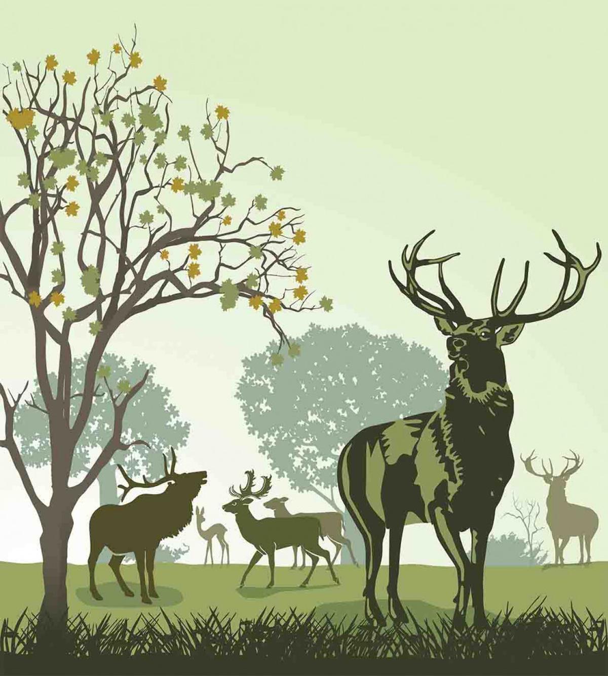 Deer and Nature Park — Pattern