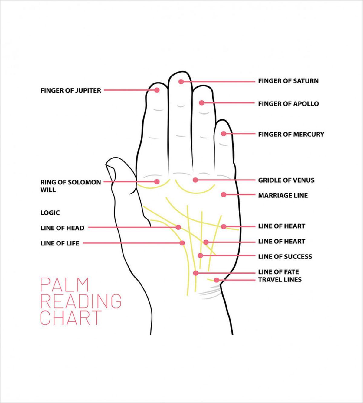 Palm Reading Chart Design — Pattern