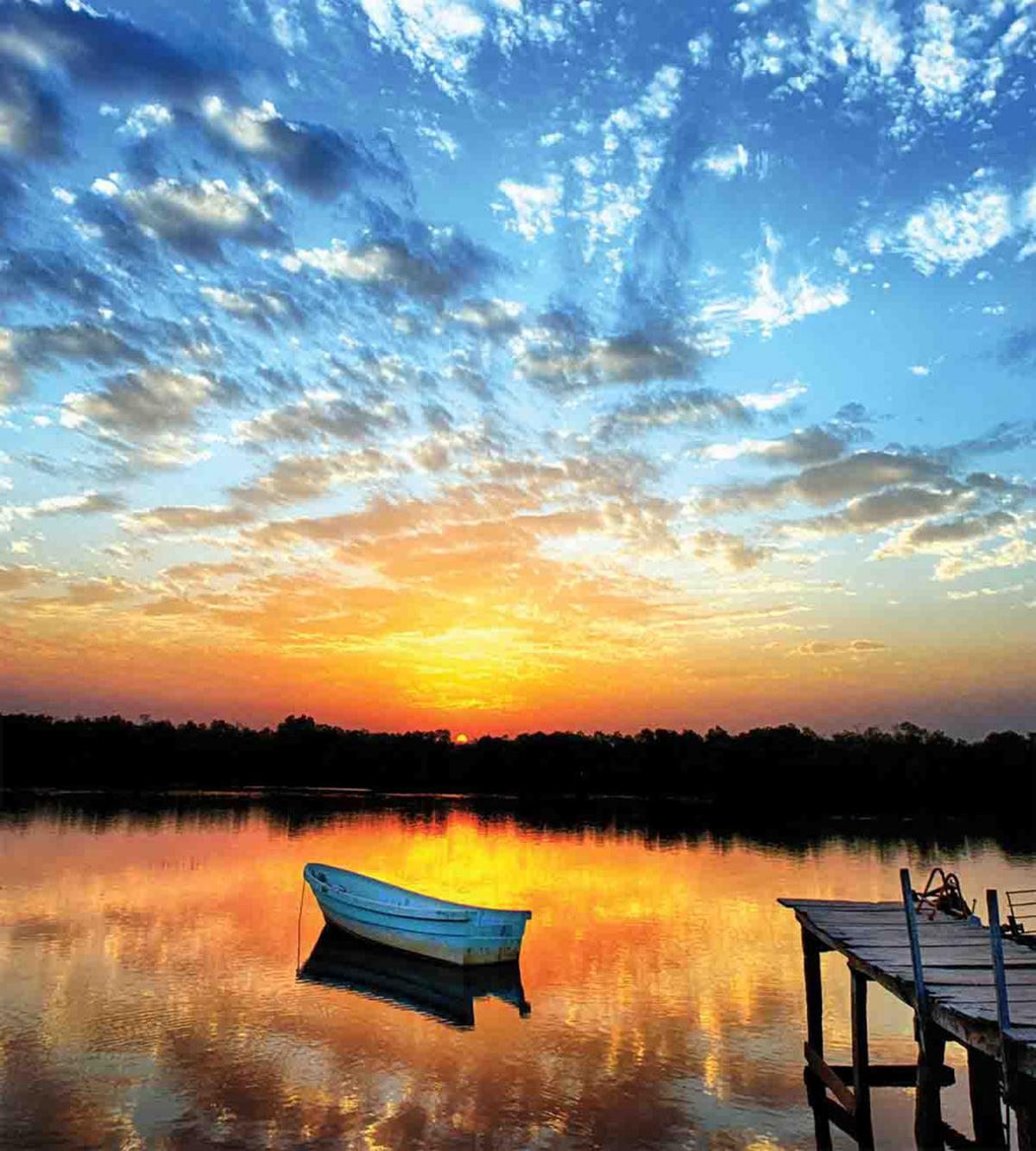Little Boat on Pond — Pattern