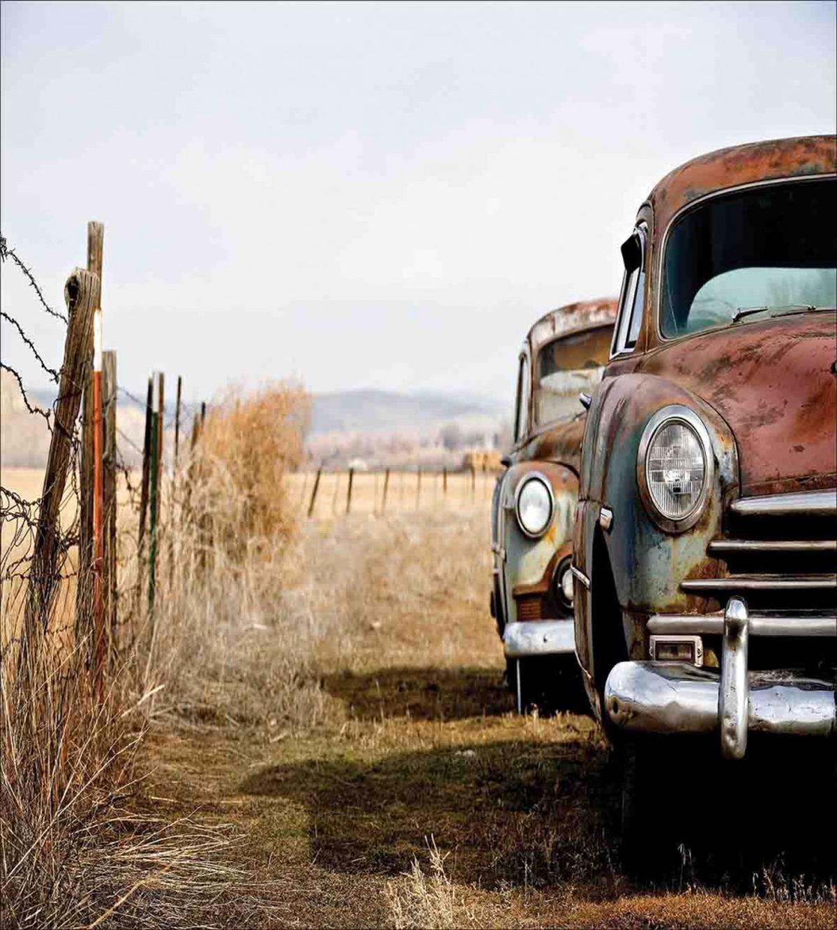 Rusty Trucks Rural View — Pattern